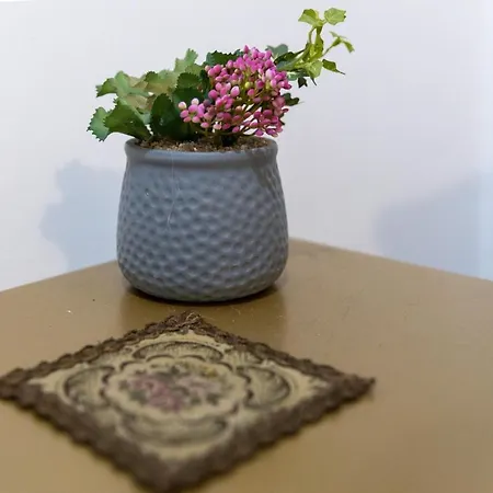 Natalie's Gallery * Belgrado